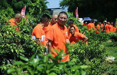 震驚：50元買一只紅蜘蛛？!——這一次，果農(nóng)們有話要說