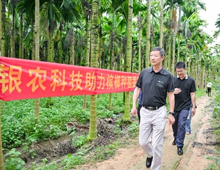 不斷創(chuàng)新納米農(nóng)藥，“銀農(nóng)三寶”助力檳榔提質(zhì)增收